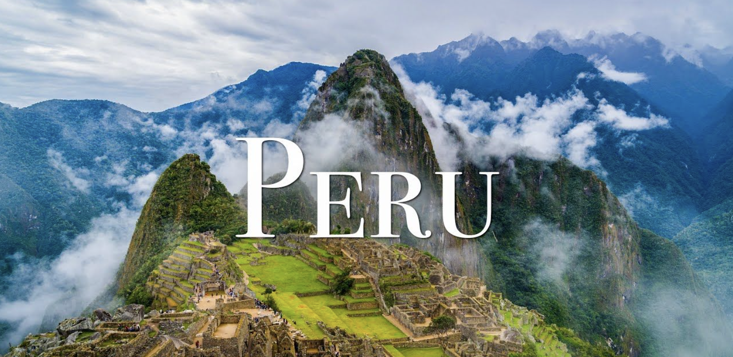 Koala Transfer imageUrl 